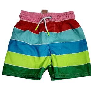 Cat & Jack 2T Toddler Baby Swim Shorts Trunks Striped Red Blue Green